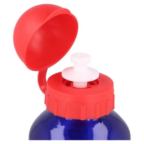 Danawares Spider-Man Aluminium Water Bottle