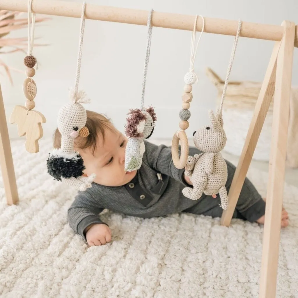 Handmade Crochet Toys for Baby Gym | Australian friends