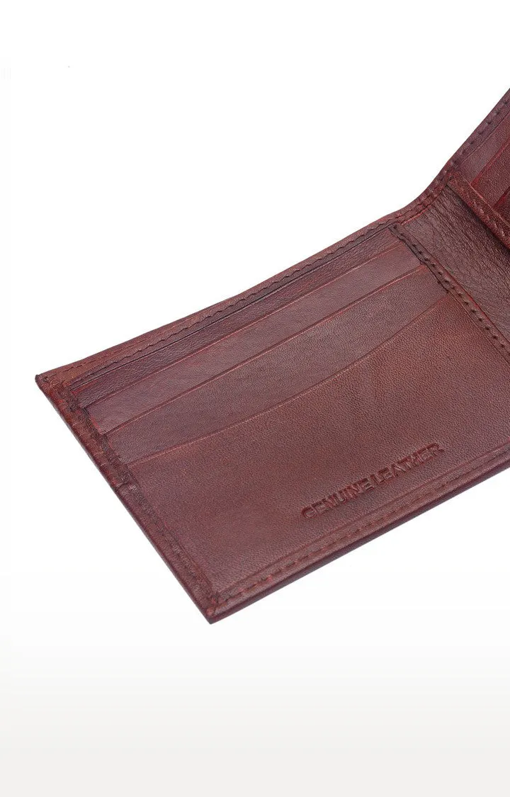 Spykar Men Brown Genuine Leather Wallet