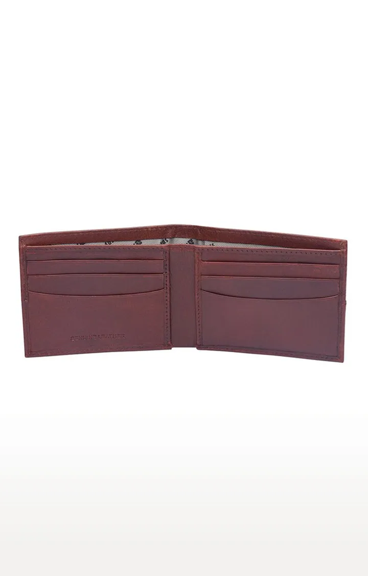 Spykar Men Brown Genuine Leather Wallet